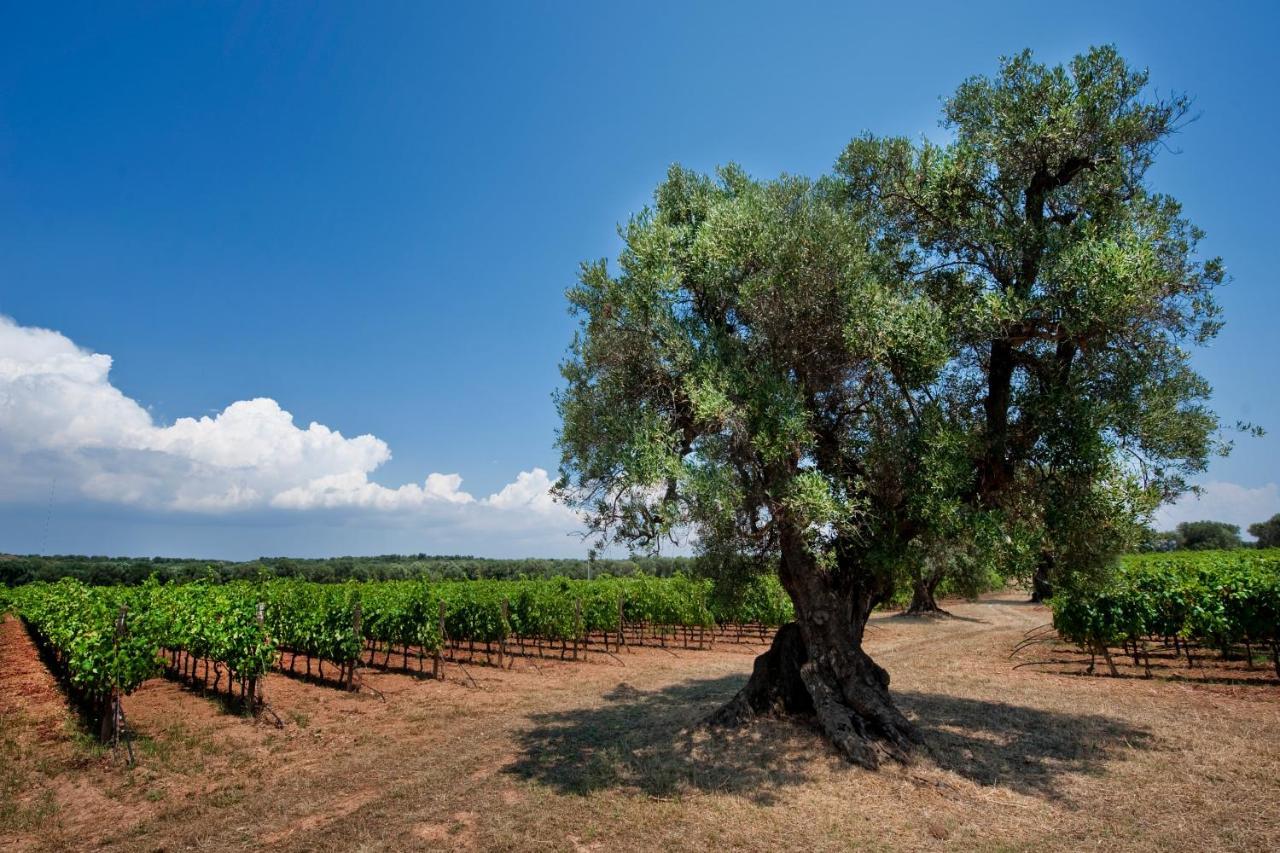 Masseria Le Fabriche Maruggio Kültér fotó