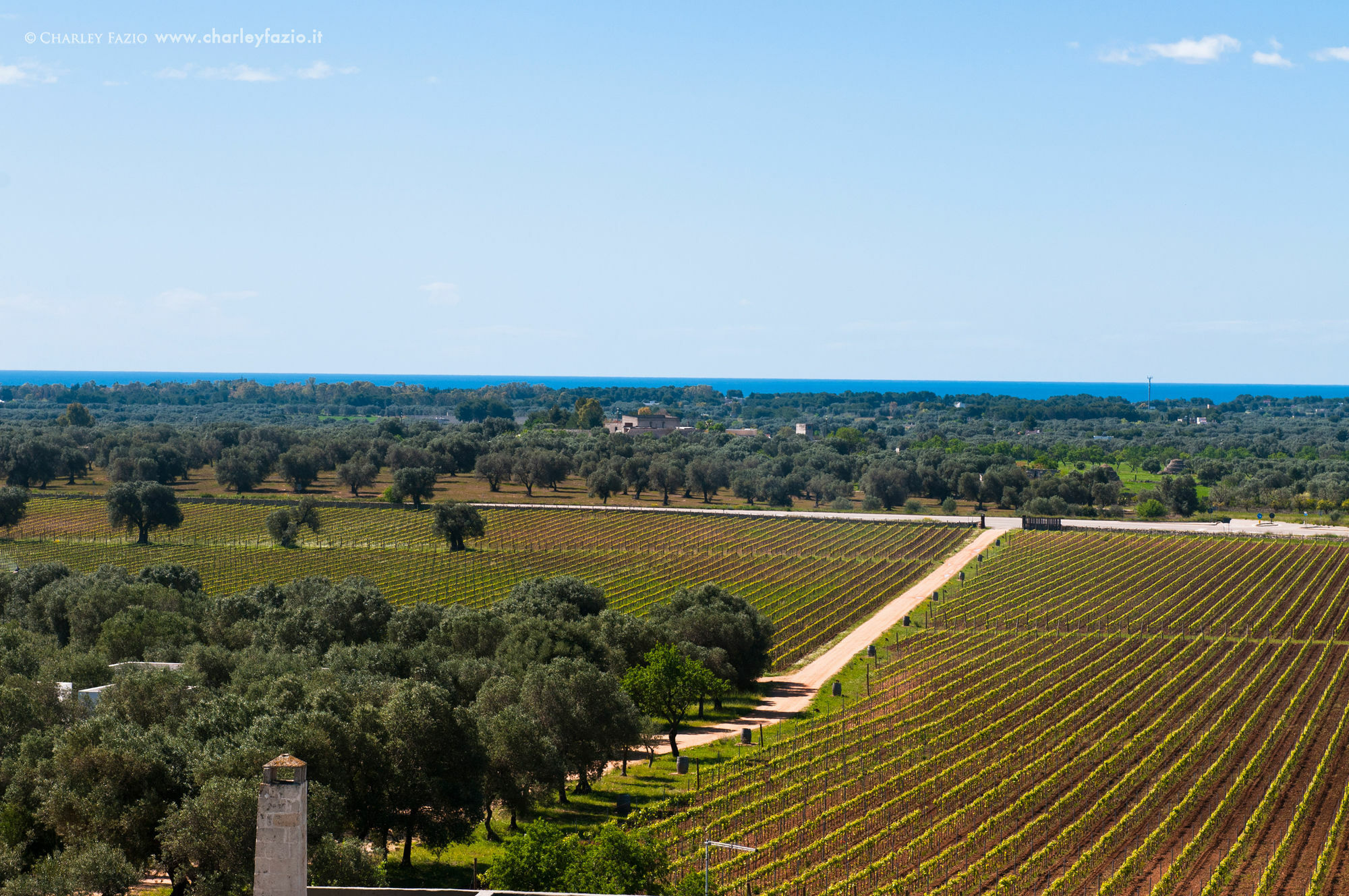 Masseria Le Fabriche Maruggio Kültér fotó